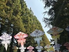 -木柴豆腐·活海鲜·鲁菜(岚山路店)