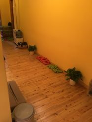 -FineYoga梵音瑜伽·普拉提