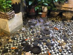 -舌尖上的食缘花园主题餐厅