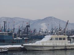 -龙王塘渔港
