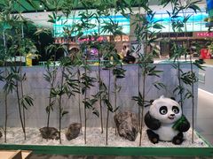 -麻辣空间·清油火锅(万达广场店)