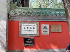 -北京国子监胡同