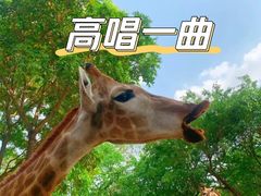 -广州长隆野生动物世界