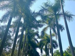 -华南国家植物园-售票处