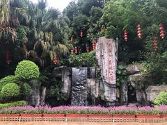 -广州市流溪河国家森林公园
