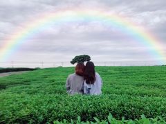 -雪绿茶博物馆