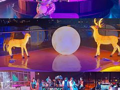 -梧桐餐厅(泉城路店)