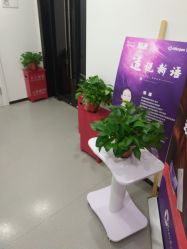 -联合丽格·张菡丽格医疗美容