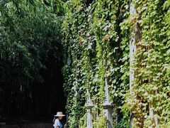 -上海佘山世茂艾美酒店