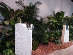 -精绝七日-新疆尼雅遗址数字大展【拉法耶文化艺术中心】