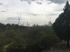 -白水寺森林公园