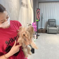 -Pink You美甲洗眉纹绣定制中心