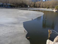 -团结湖公园