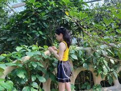 -南山植物园