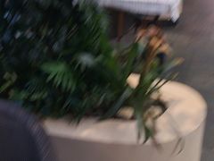 -杯莫亭(集里店)