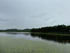 -塞罕坝国家级自然保护区