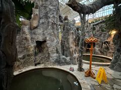 -郑州银基黄帝宫御温泉