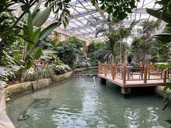 -南宫五洲植物乐园