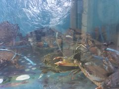 -钱塘府海鲜餐厅