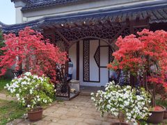 -苏州上方山国家森林公园