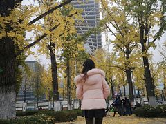 -百林公园-两江幸福广场