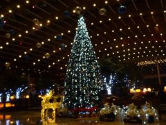 大堂-苏州金鸡湖中茵皇冠假日酒店