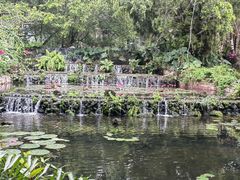 -海南热带野生动植物园