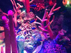 -沈阳海洋探索中心