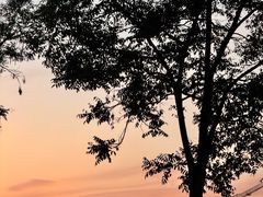 -清真·伊清阁餐厅