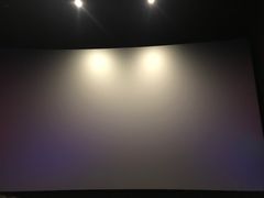 -上影国际影城(普陀绿地缤纷城店)