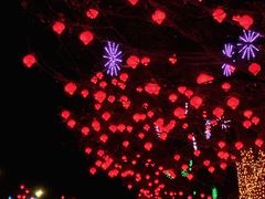 -瀛海足球主题公园