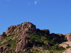 -红山国家森林公园