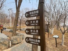 -阳台山自然风景区