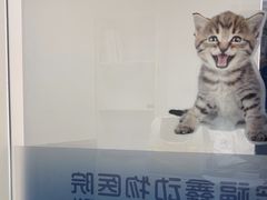 -宠福鑫动物医院(立水桥分院)