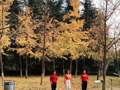 -城市运动公园(未央区)