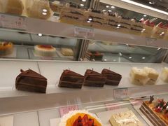 -蒲公英(五里店)
