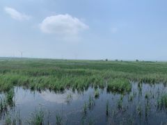 -野鸭湖国家湿地公园