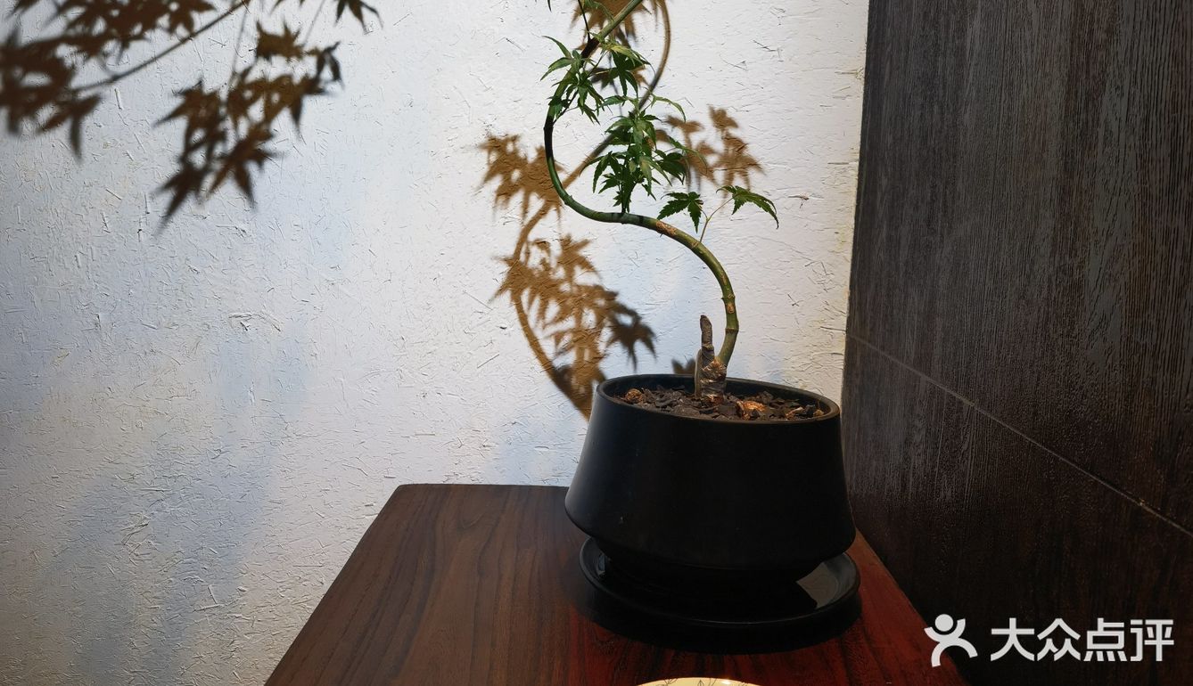 今天的主题就是一碗面