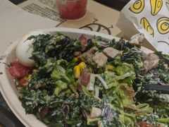 -油梨树 AVOCADO TREE(亮马桥店)