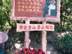 -金龙寺国家森林公园