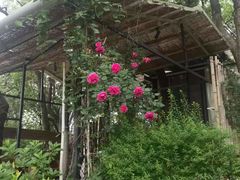 -宅里香.自然餐厅(湘大店)