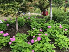 -江南大学(蠡湖校区)