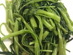 -肥信潮菜(科新路店)