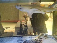 -味多美蛋糕(六里桥店)