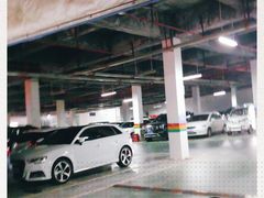 -铁山坪森林公园