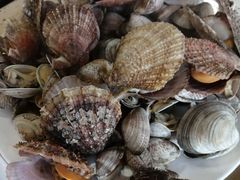 -港畔赶海蒸汽海鲜烧烤自助(仙螺岛店)