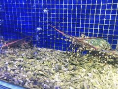 -青蓬蒸汽海鲜·深圳老字号·团建聚会(壹方城店)