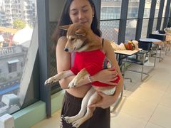 -怪兽屋·羊驼·猫咖·狗咖(俊华广场店)