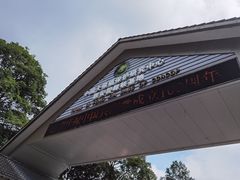 -中国大熊猫保护研究中心雅安碧峰峡基地