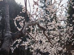 -北京动物园